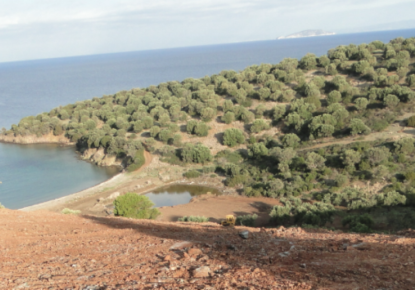 Земля за 1 800 000 евро на Халкидиках, Греция