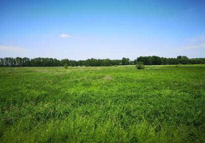 Земля за 400 000 евро в Венгрии