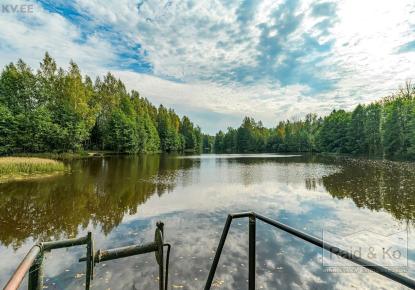 Земля за 49 000 евро в Харьюмаа, Эстония