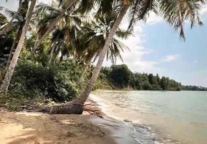 Земля за 18 759 евро в Самане, Доминиканская Республика