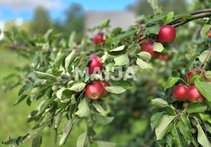 Дом за 215 000 евро в Латвии