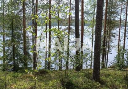 Земля за 49 000 евро в Савонлинне, Финляндия