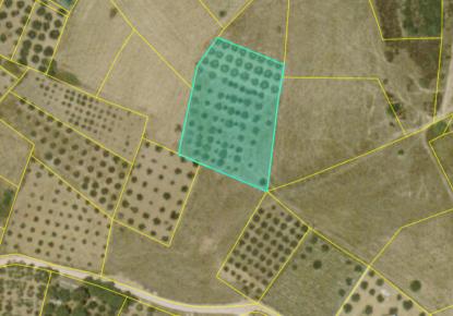 Земля за 160 000 евро в Ситонии, Греция