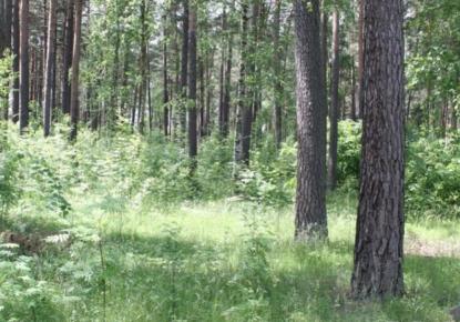 Земля за 1 380 000 евро в Риге, Латвия