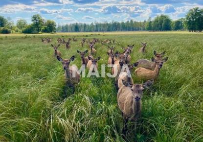 Коммерческая недвижимость за 800 000 евро в Латвии
