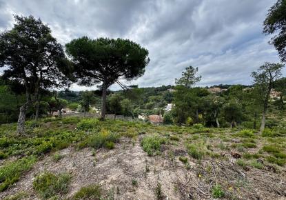 Земля за 250 000 евро на Коста-Брава, Испания