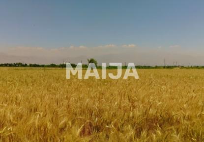 Земля за 19 500 000 евро в Румынии