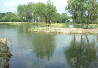 Вилла за 1 500 000 евро в Венгрии