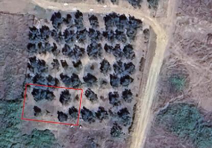 Земля за 150 000 евро в Ситонии, Греция