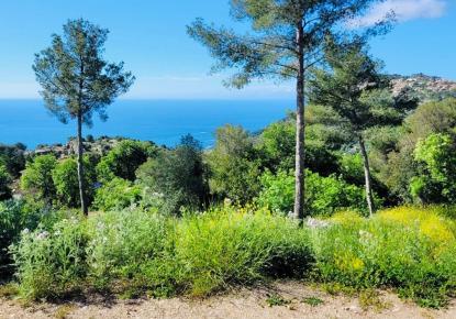 Инвестиционный проект за 2 700 000 евро в Кап-д'Ай, Франция