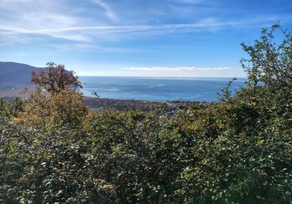 Земля за 300 000 евро в Булярице, Черногория