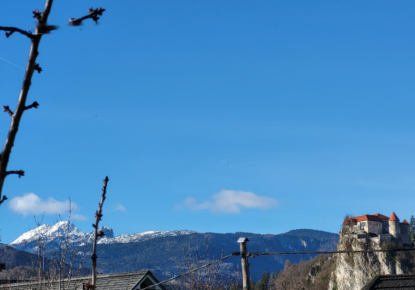 Дом за 1 600 000 евро в Бледе, Словения