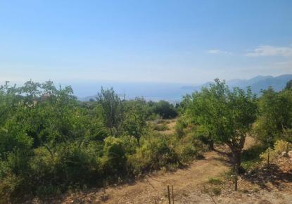 Земля за 115 000 евро в Баре, Черногория