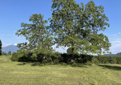 Земля за 203 600 евро в Бледе, Словения