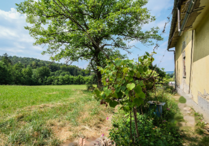 Земля за 300 000 евро в Любляне, Словения