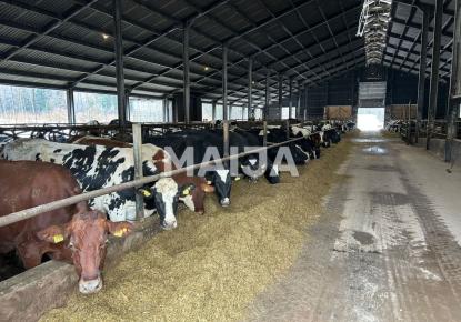 Земля за 2 500 000 евро в Сигулде, Латвия