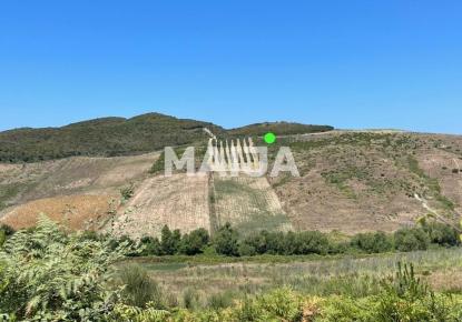 Земля за 100 000 евро в Албании