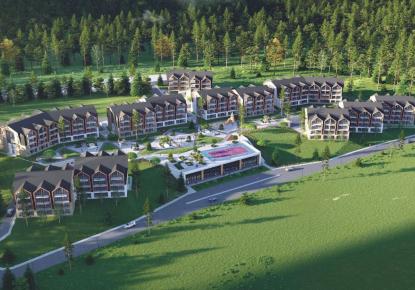 Инвестиционный проект за 43 500 евро в Бакуриани, Грузия