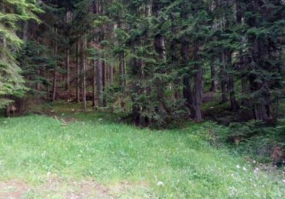 Земля за 57 000 евро в Жабляке, Черногория