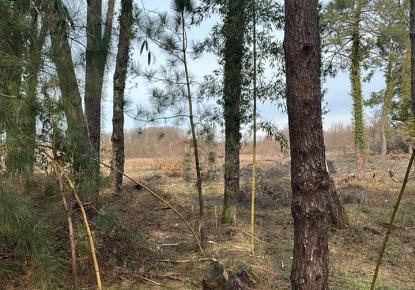 Земля за 87 216 евро в Кобулетском муниципалитете, Грузия