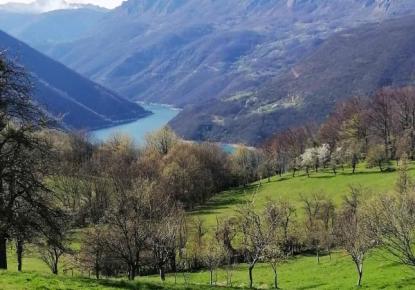 Земля за 170 000 евро в Плужине, Черногория