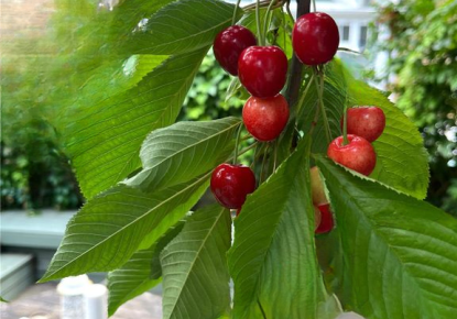 Квартира за 862 500 евро в Лондоне, Великобритания