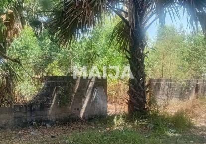 Земля за 131 054 евро в Гамбии