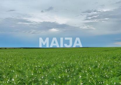 Земля за 39 000 000 евро в Бразилии