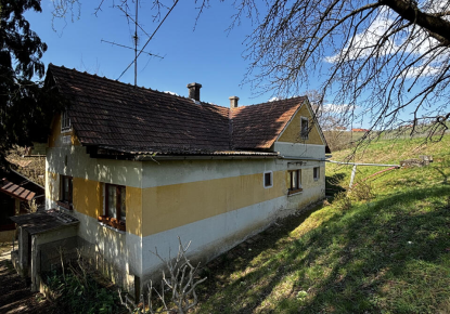 Ферма за 135 000 евро в Орможе, Словения