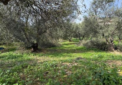 Земля за 140 000 евро в Ираклионе, Греция