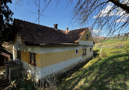 Ферма за 120 000 евро в Орможе, Словения