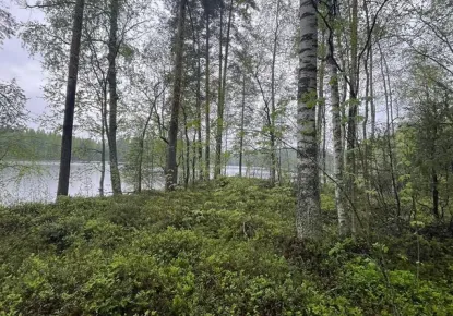 Земля за 35 000 евро в Раутъярви, Финляндия
