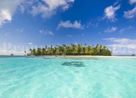 Остров за 2 691 256 евро на Рангироа, Французская Полинезия