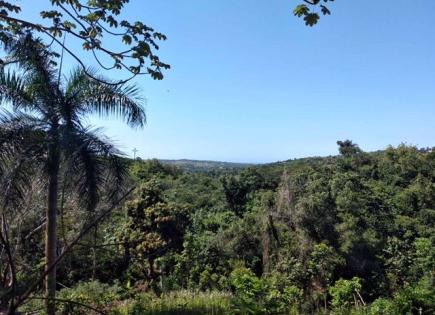 Земля за 416 738 евро в Сосуа, Доминиканская Республика