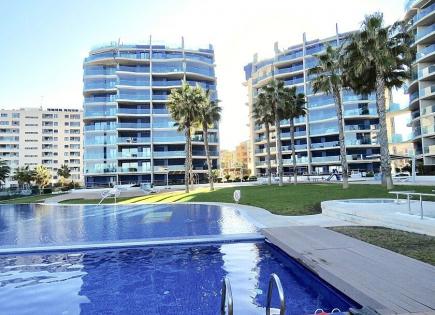 Апартаменты за 1 700 евро в Пунта Приме, Испания