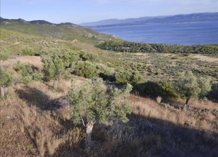 Земля за 250 000 евро в Коринфии, Греция