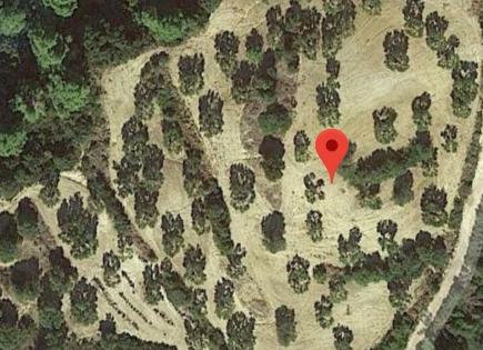 Земля за 2 000 000 евро на Кассандре, Греция