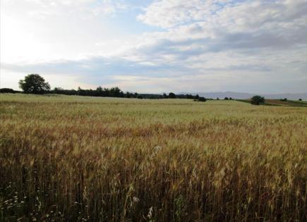 Земля за 170 000 евро на Кассандре, Греция