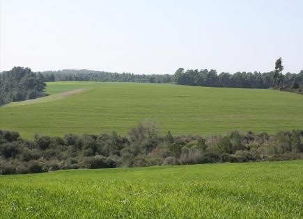Земля за 180 000 евро на Халкидиках, Греция