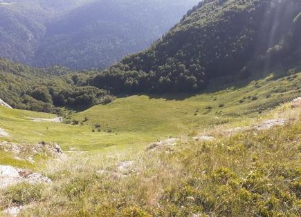 Земля за 258 000 евро в Колашине, Черногория