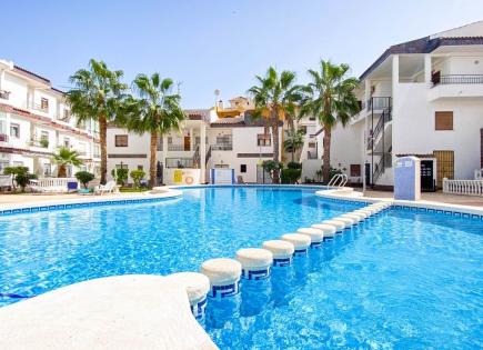 Апартаменты за 70 евро за день в Пунта Приме, Испания