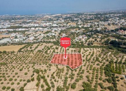 Земля за 400 000 евро в Пафосе, Кипр