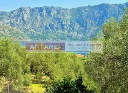 Вилла за 170 000 евро в Прчани, Черногория