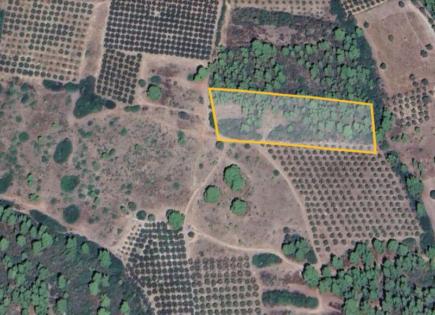 Земля за 160 000 евро в Ситонии, Греция