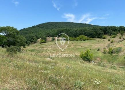 Земля за 66 000 евро в Кошарице, Болгария