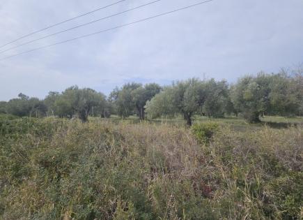 Земля за 250 000 евро на Халкидиках, Греция