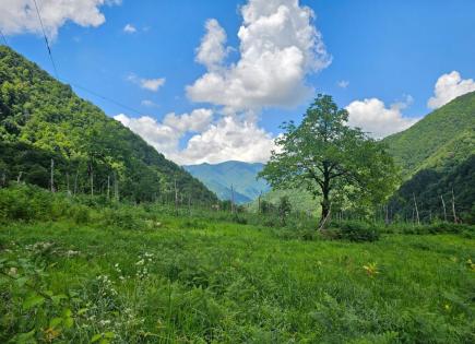 Земля за 43 878 евро в Батуми, Грузия