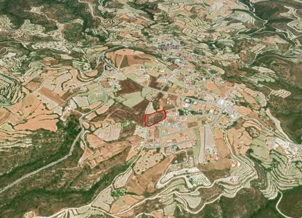 Земля за 350 000 евро в Пафосе, Кипр