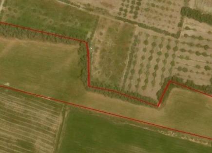 Земля за 248 000 евро в Пафосе, Кипр