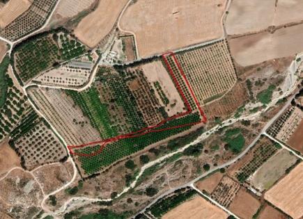 Земля за 170 000 евро в Пафосе, Кипр